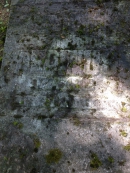 Могила Ф. Эпинуса на кладбище Рааде в Тарту. Фото В.Е. Фрадкина.