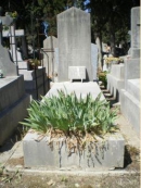 Могила Жака Кюри на кладбище Сен-Лазар в Монпелье. Источник: https://www.tombes-sepultures.com/crbst_1886.html