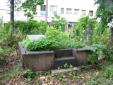 Состояние могилы И.И. Боргмана до 2012 года