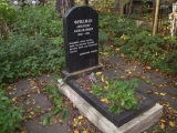 Могила А.А. Фридмана на Смоленском православном кладбище в Санкт-Петербурге.