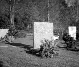 Могила В. Паули на кладбище Zollikon, Цюрих, Швейцария. Источник: http://cds.cern.ch/record/42847