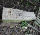Настоящая могила Б.Л. Розинга на Кузнечевском кладбище в Архангельске.
