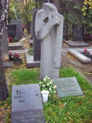Могила И.Е. Тамма на Новодевичьем кладбище