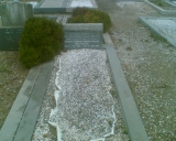 Могила Э. Уолтона на Deansgrange Cemetery  Blackrock County Dublin, Ireland